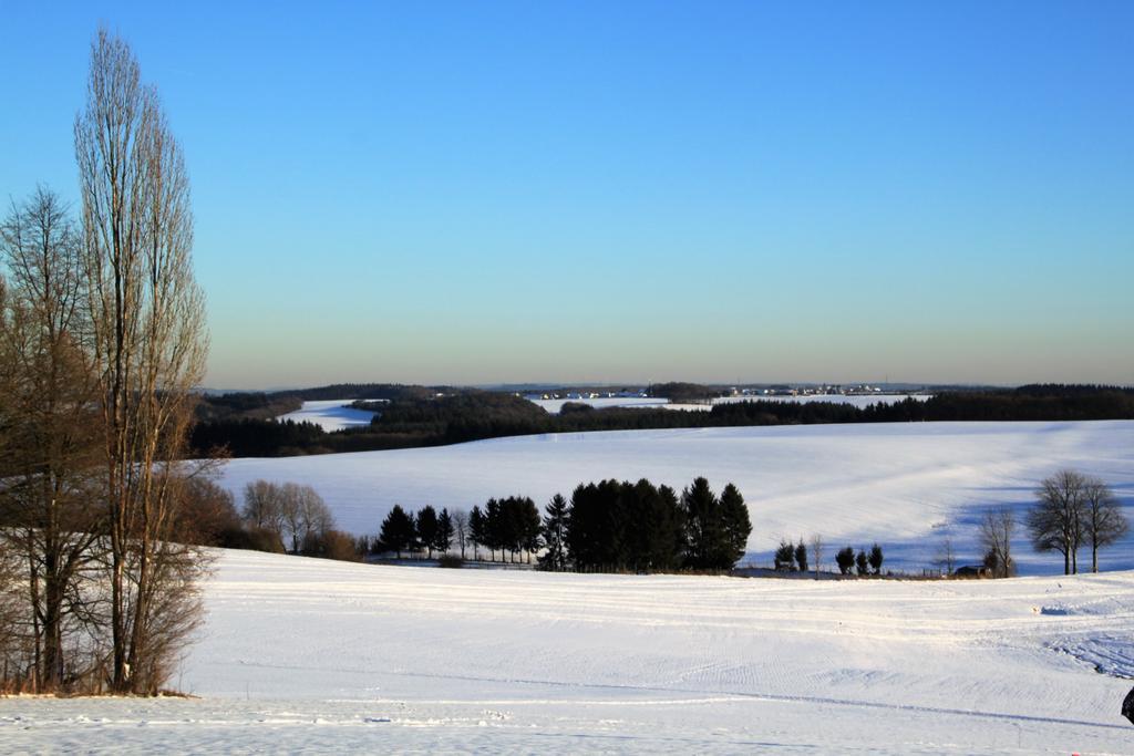 Ferienwohnungen Eifelblick Lutzerath Exteriör bild